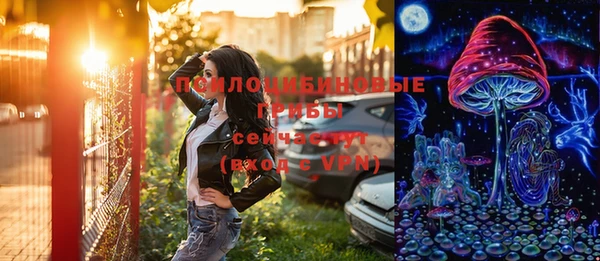 mdpv Вяземский