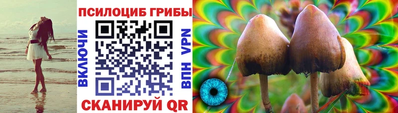 Галлюциногенные грибы ЛСД  Купить где  Светлый 